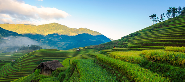 S&eacute;minaire Evaluation : Construire votre strat&eacute;gie d'&eacute;valuation - 31 mars 2016